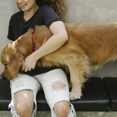 Crop delighted woman smiling and hugging Golden Retriever dog smelling treats in hand during training on bench on sunny summer day