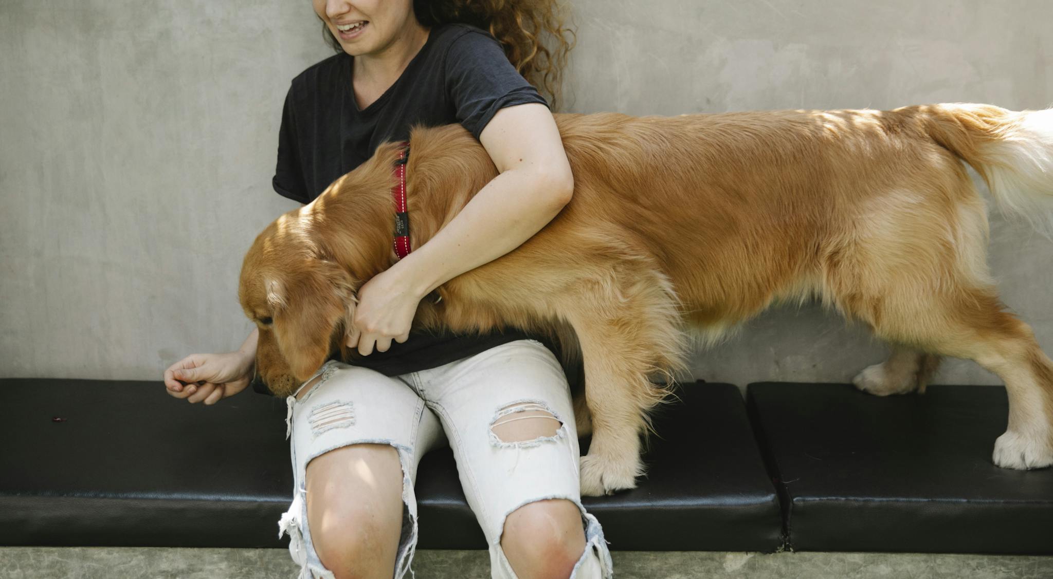 crop delighted woman smiling and hugging golden retriever dog smelling treats in hand during training on bench on sunny summer day 7210444