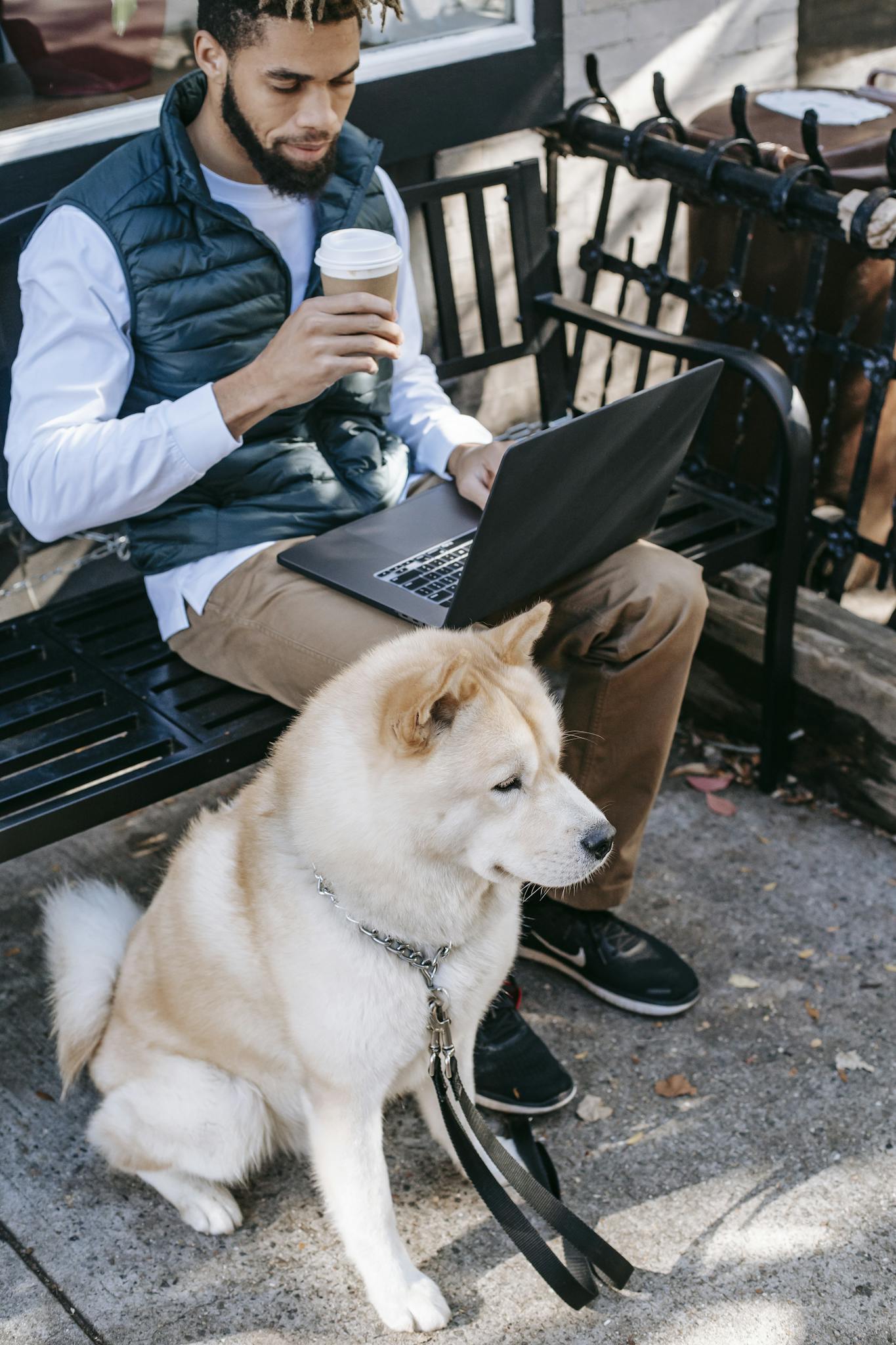 pensive african american man freelancer using laptop and drinking takeaway coffee while sitting on bench near calm akita inu on street in sunny day 5749804
